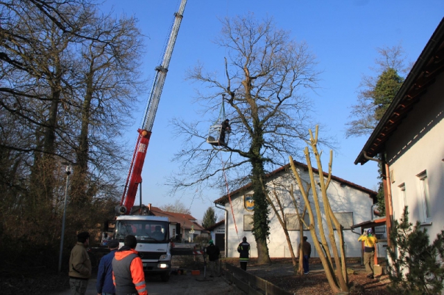 Arbeitseinsatz rund um das Vereinsheim am 7. Februar 2015_2