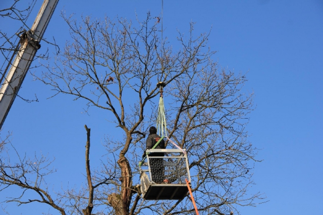 Arbeitseinsatz rund um das Vereinsheim am 7. Februar 2015_9